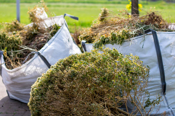  University Of Lifornia Santa Barbara, CA Junk Removal Pros
